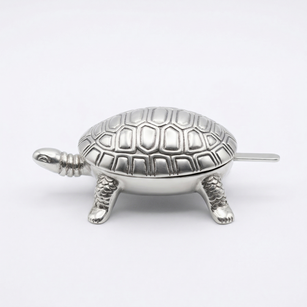 Schildkröte Salz