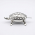 Schildkröte Salz
