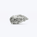 Muschel Silber